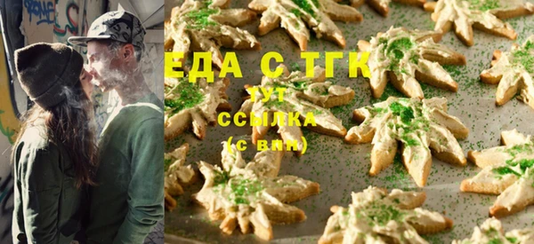 СК Россошь