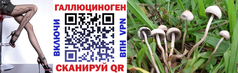 маркетплейс Telegram  Судак  Галлюциногенные грибы Psilocybine cubensis  даркнет сайт 